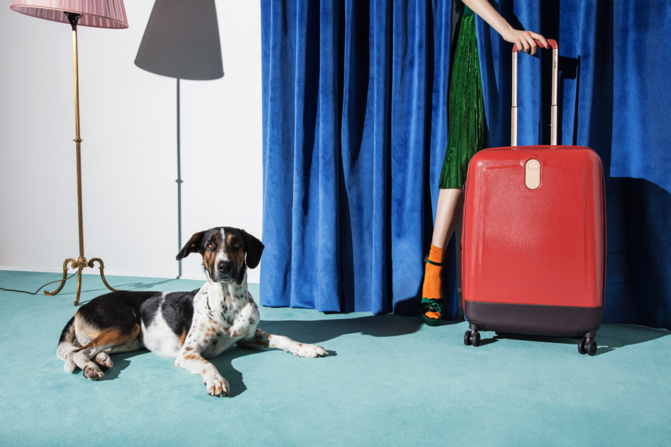 delsey office bolsas